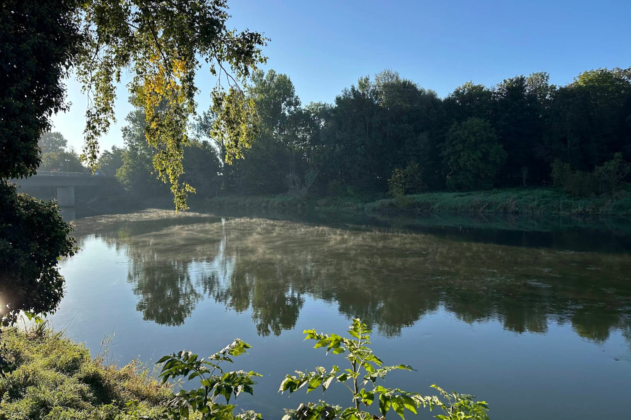 Donau direkt beim Donaucamping